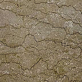 Kastamonu Eflani Bej Mermer