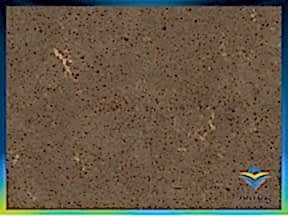 Ironbark | Ankara Mermer Granit