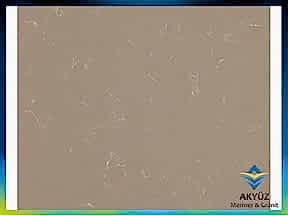 Kalynda-705x705 | Granit Mutfak Tezgahı Ankara